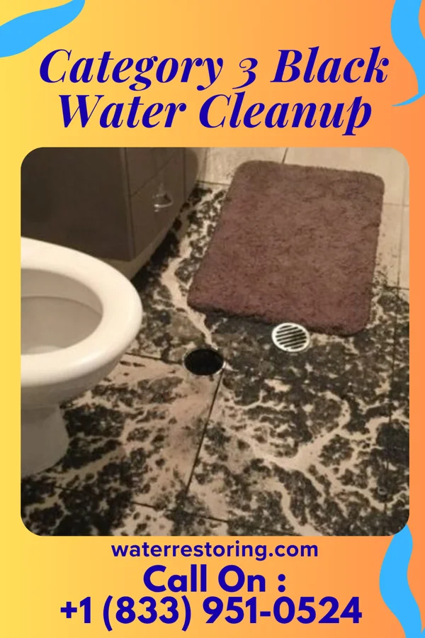 Category 3 Black Water Cleanup in Summerside, OH